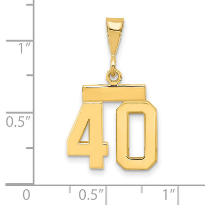 14k Yellow Gold Small Polished Number 40 Charm