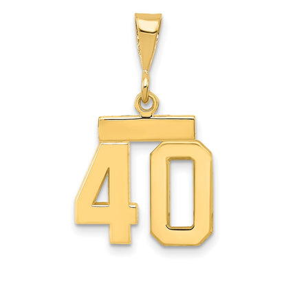 14k Yellow Gold Small Polished Number 40 Charm