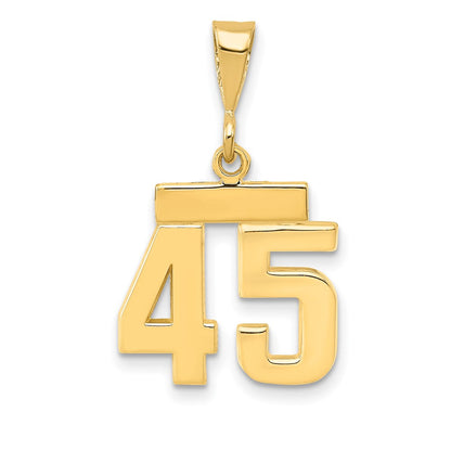 14k Yellow Gold Small Polished Number 45 Charm