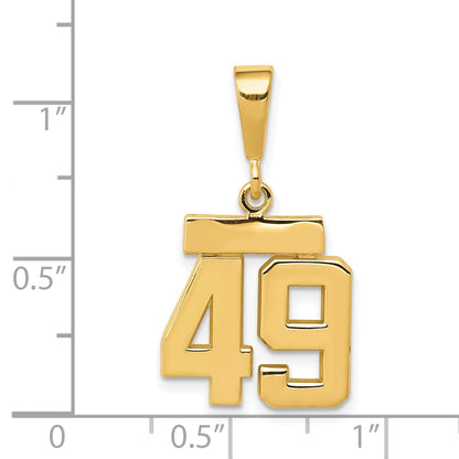 14k Yellow Gold Small Polished Number 49 Charm