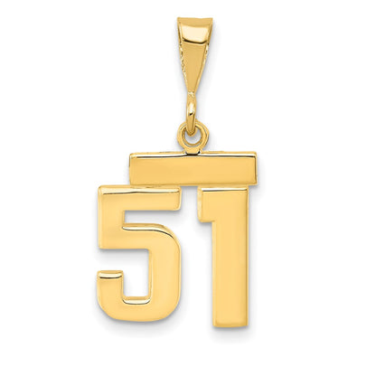 14k Yellow Gold Small Polished Number 51 Charm