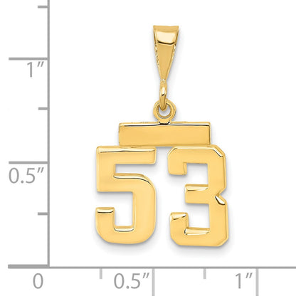 14k Yellow Gold Small Polished Number 53 Charm