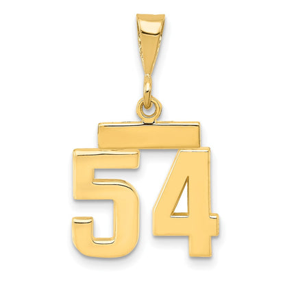14k Yellow Gold Small Polished Number 54 Charm