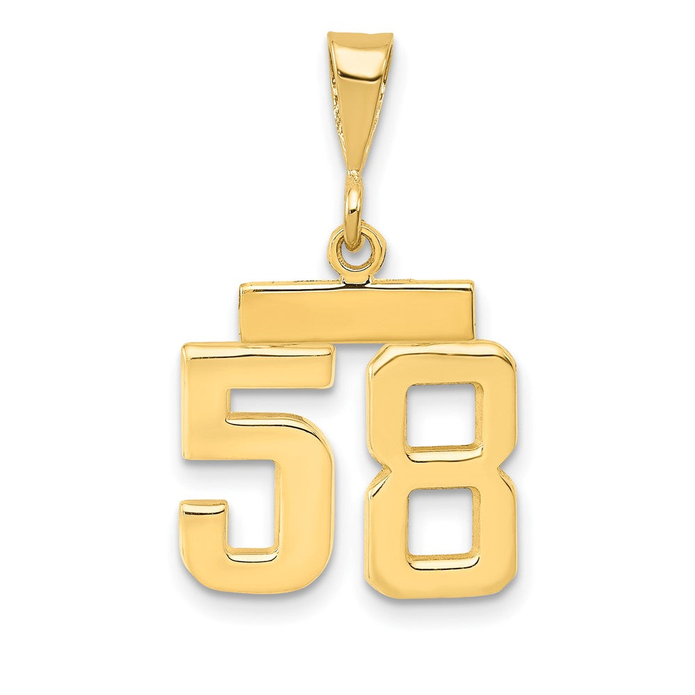 14k Yellow Gold Small Polished Number 58 Charm