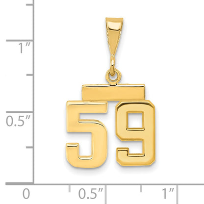 14k Yellow Gold Small Polished Number 59 Charm
