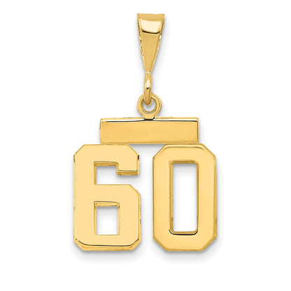 14k Yellow Gold Small Polished Number 60 Charm