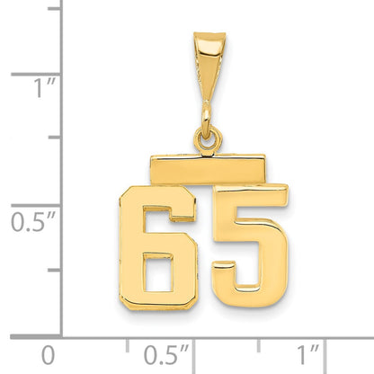 14k Yellow Gold Small Polished Number 65 Charm