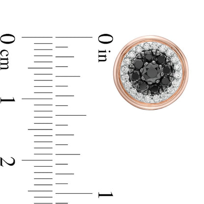 0.75 CT. T.W. Enhanced Black and White Diamond Double Frame Stud Earrings in 10K Rose Gold