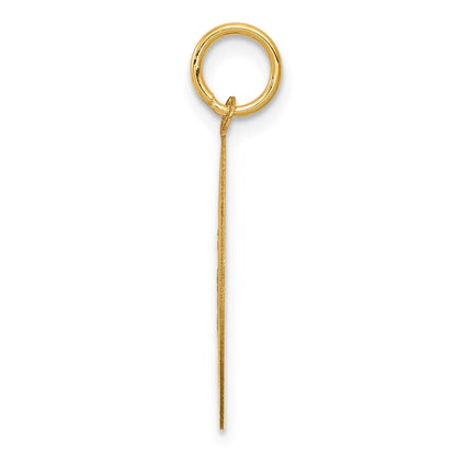 14k Yellow Gold Beagle Disc Charm
