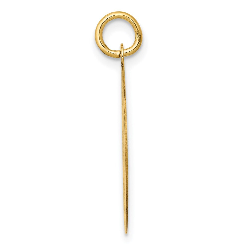 14k Yellow Gold Poodle Disc Charm