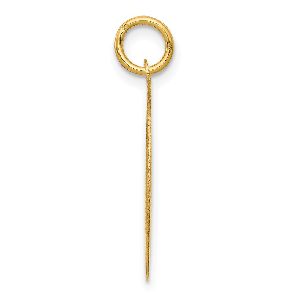 14k Yellow Gold Shetland Sheepdog Disc Charm