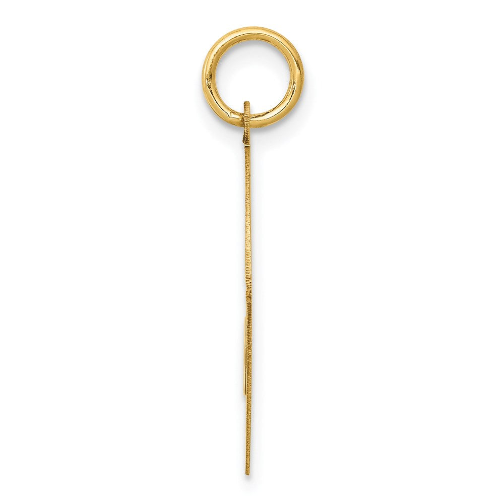 14k Yellow Gold Yorkshire Terrier Disc Charm