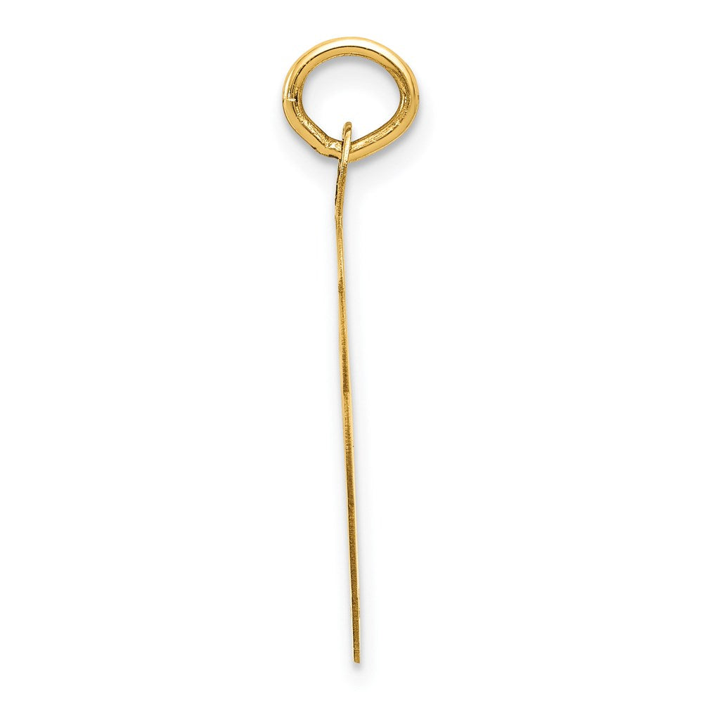 14k Yellow Gold Swimming Disc Charm