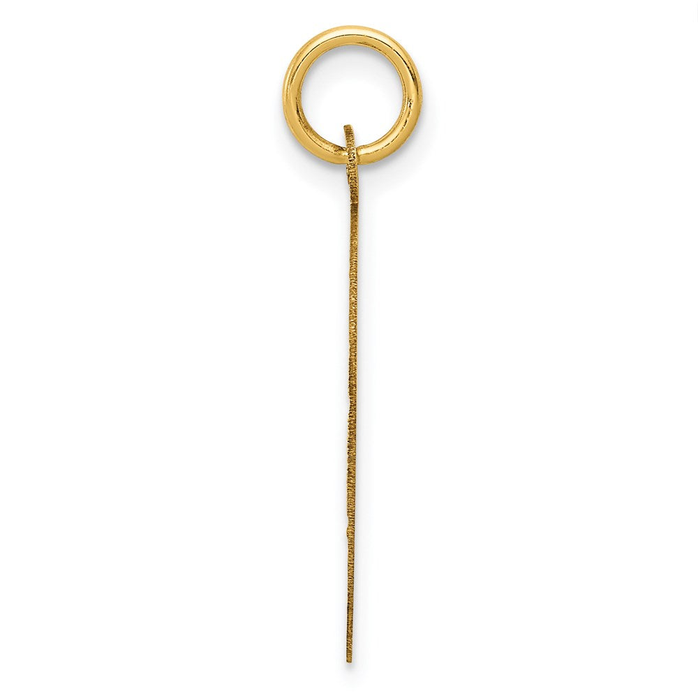 14k Yellow Gold A DATE TO REMEMBER Disc Charm