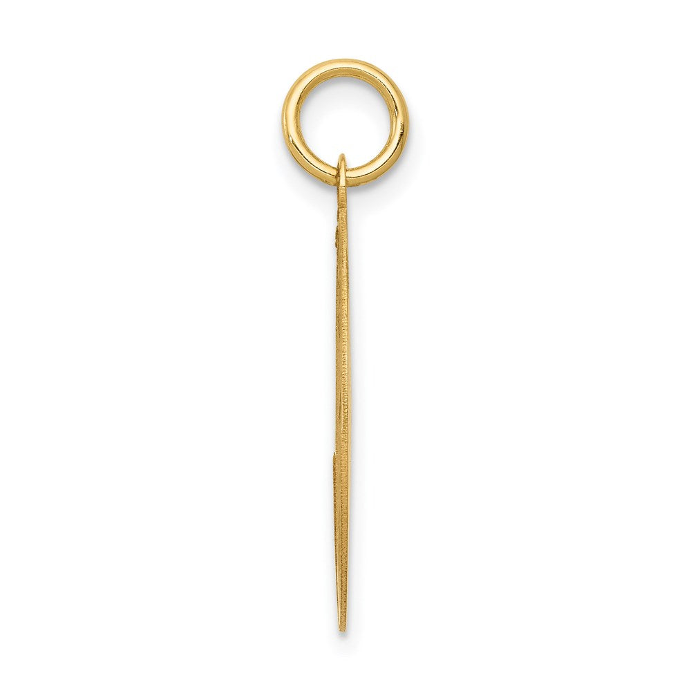 14k Yellow Gold Labrador Retriever Disc Charm