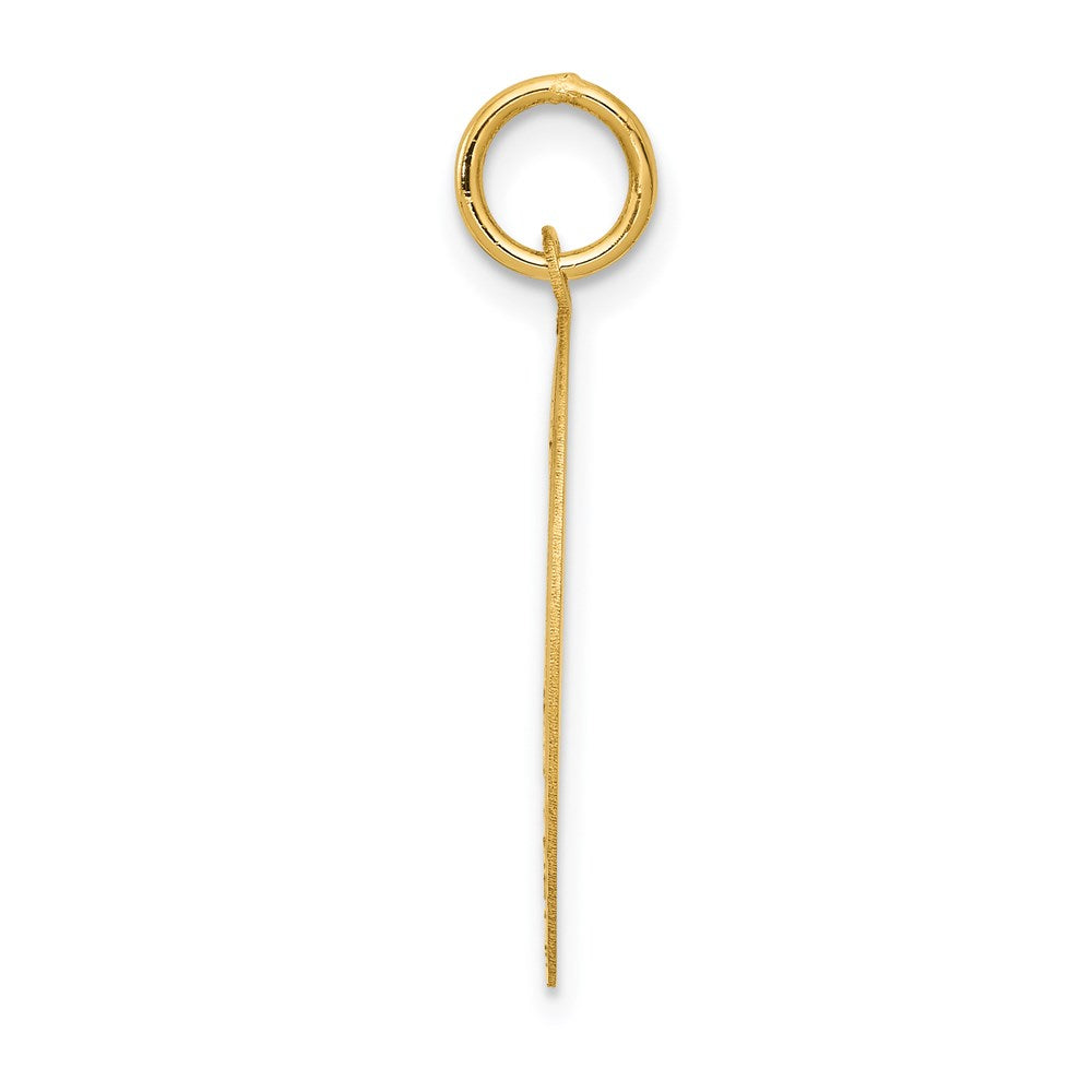 14k Yellow Gold Pug Disc Charm