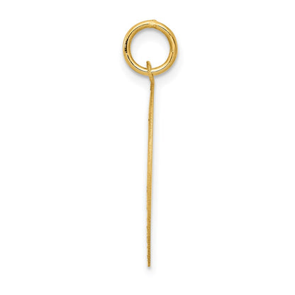 14k Yellow Gold Pug Disc Charm