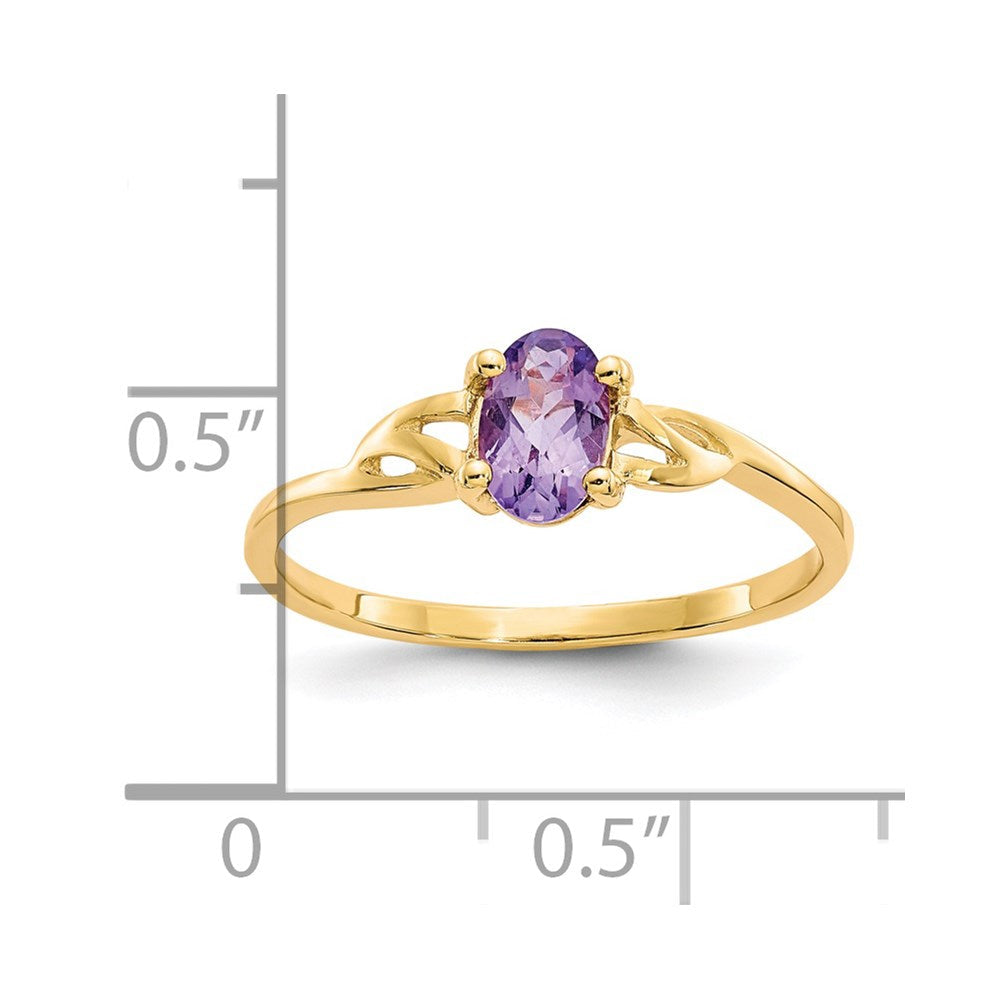 14K Yellow Gold Amethyst Birthstone Ring
