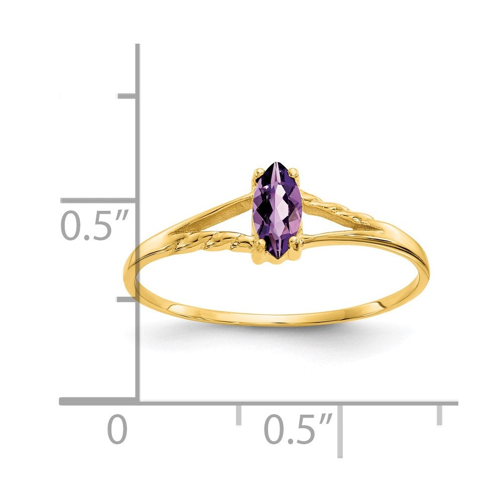 14k yellow gold amethyst birthstone ring xbr179