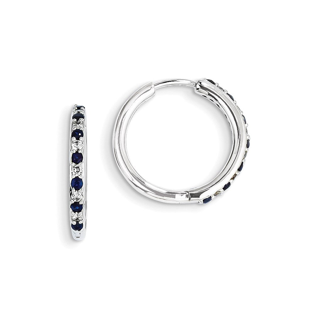 14k White Gold Real Diamond & Sapphire Hinged Hoop Earrings XE1179S/AA