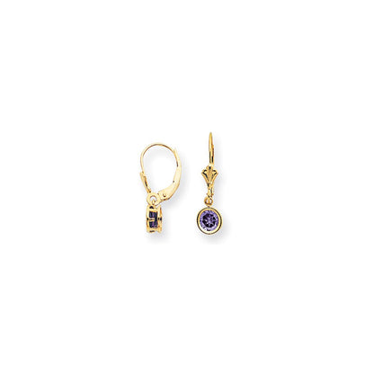 14k Yellow Gold 5mm Amethyst Checker leverback Earrings XLB100AC