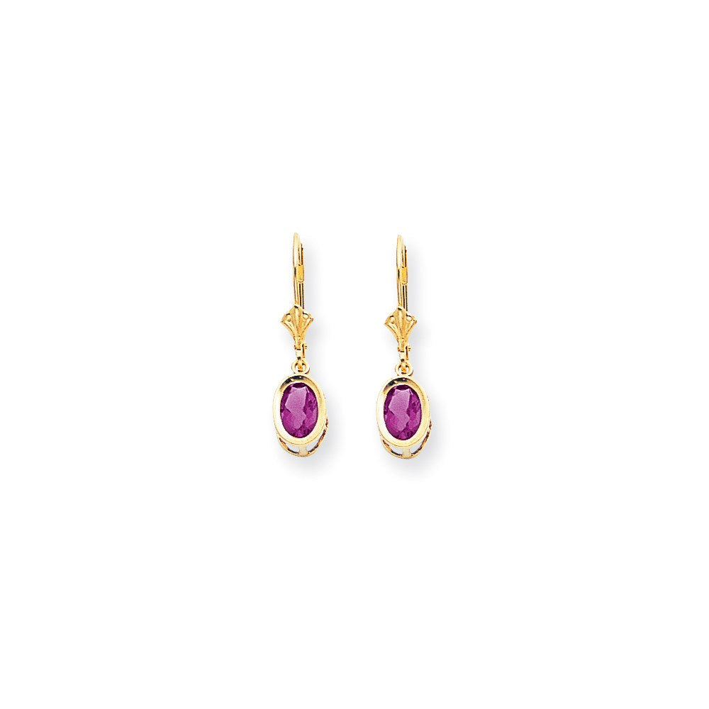 14k Yellow Gold 7x5mm Oval Pink Sapphire leverback Earrings XLB106SP