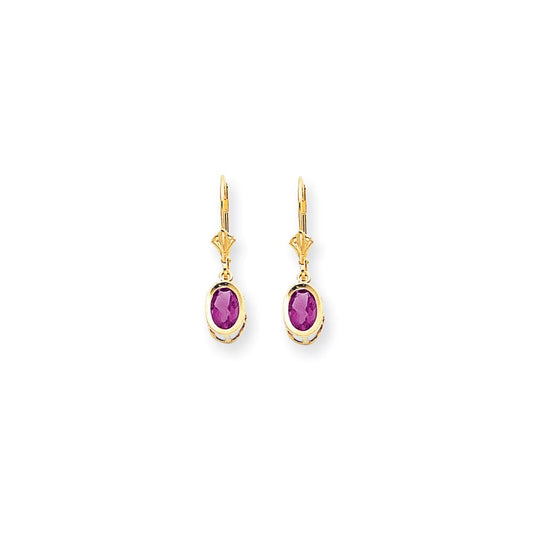 14k Yellow Gold 7x5mm Oval Pink Sapphire leverback Earrings XLB106SP
