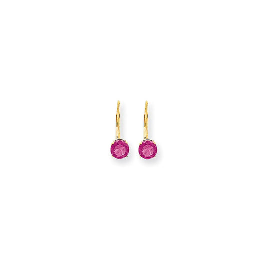 14k Yellow Gold 6mm Pink Sapphire leverback Earrings XLB112SP