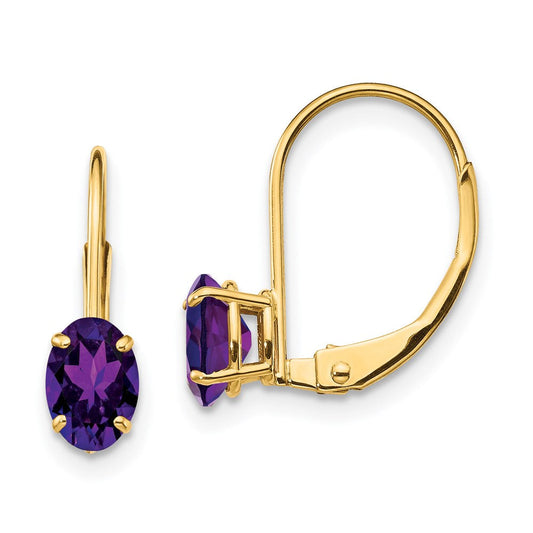 14k Yellow Gold 6x4mm Oval Amethyst Leverback Earrings XLB114AM