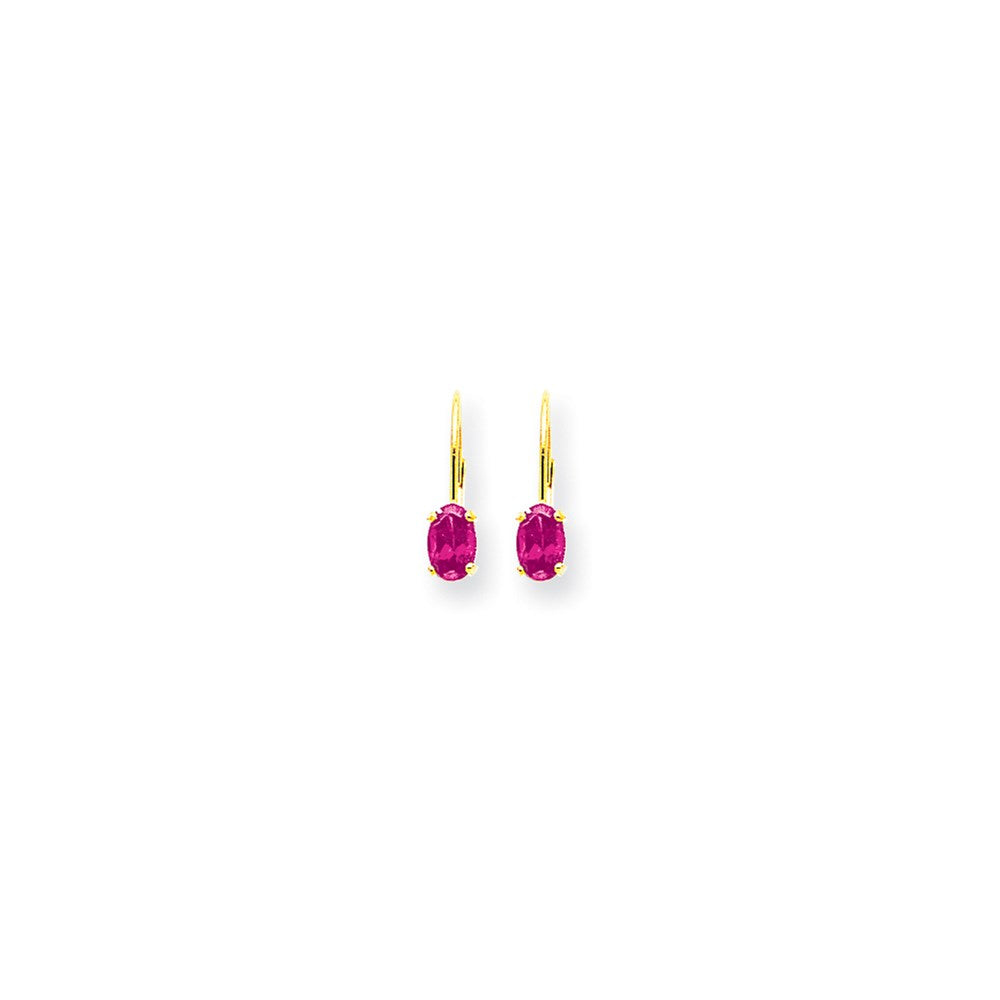 14k Yellow Gold 6x4mm Oval Pink Sapphire leverback Earrings XLB114SP