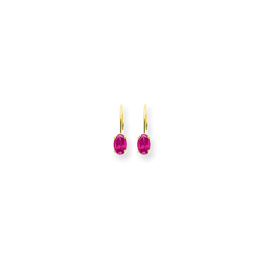 14k Yellow Gold 6x4mm Oval Pink Sapphire leverback Earrings XLB114SP