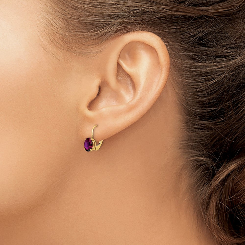 14k Yellow Gold 7x5mm Oval Rhodolite Garnet Leverback Earrings