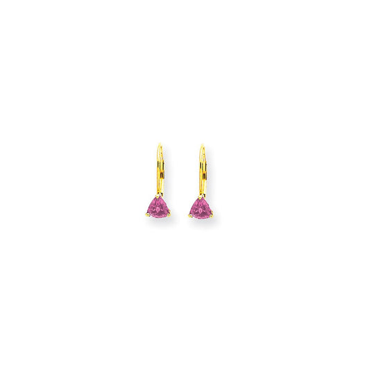14k Yellow Gold 5mm Pink Sapphire leverback Earrings XLB117SP