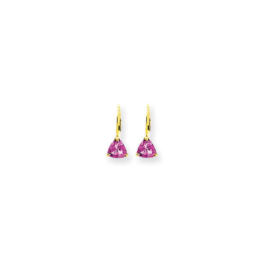 14k Yellow Gold 6mm Pink Sapphire leverback Earrings XLB118SP