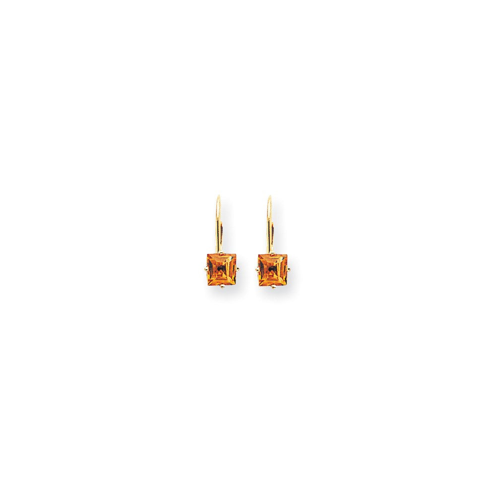 14k Yellow Gold 5mm Princess Cut Citrine Leverback Earrings XLB121CI