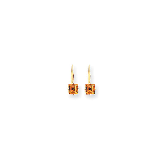 14k Yellow Gold 5mm Princess Cut Citrine Leverback Earrings XLB121CI