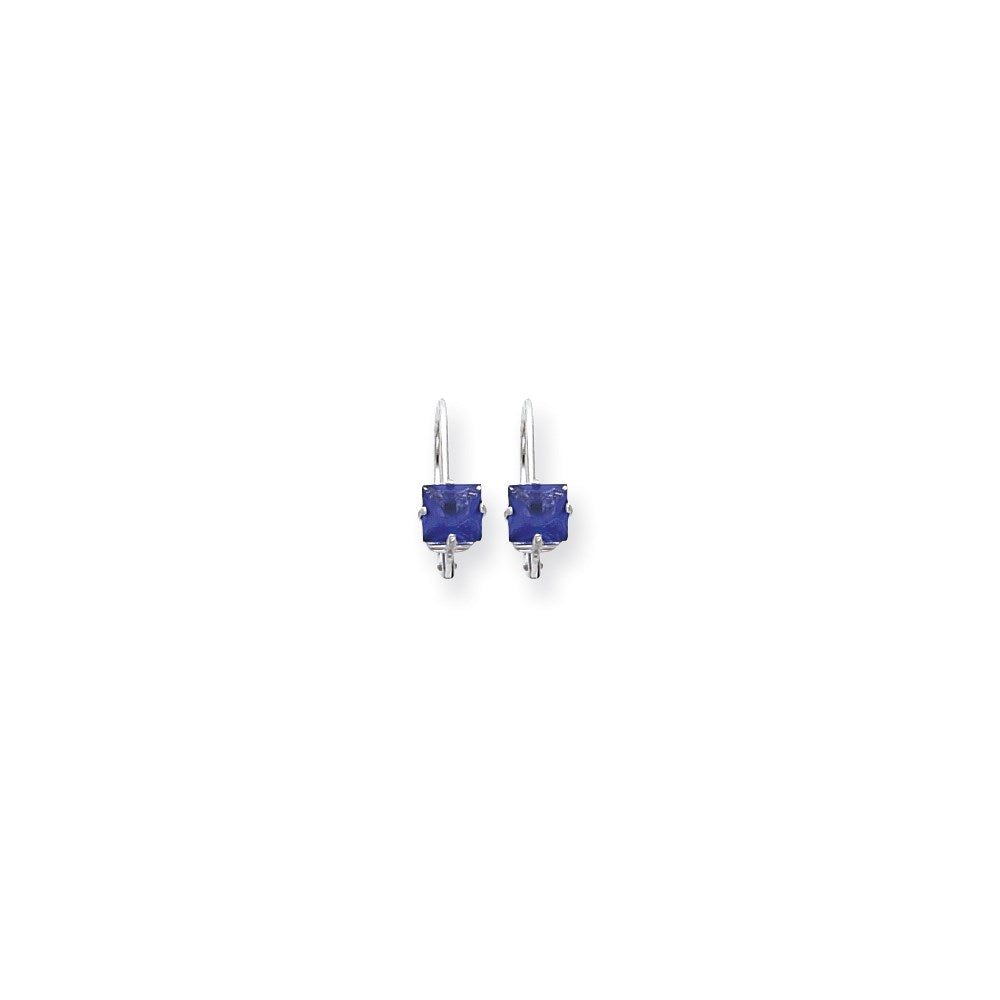 14k White Gold 5mm Princess Cut Tanvorite leverback Earrings XLB121WTV