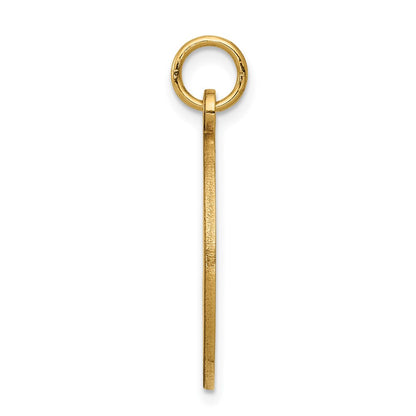 14k Yellow Gold Non-enameled Medical Jewelry Pendant