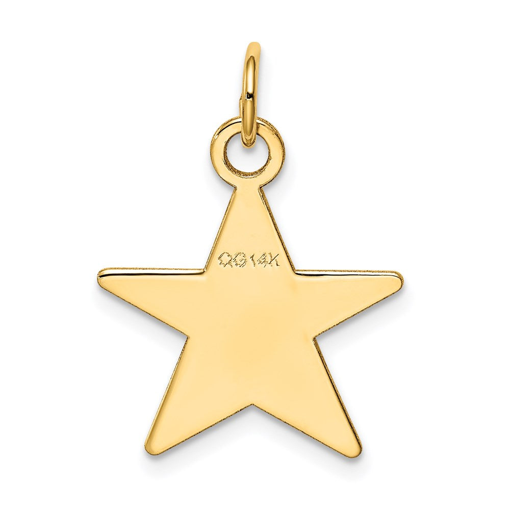 14k Yellow Gold Star Disc Charm