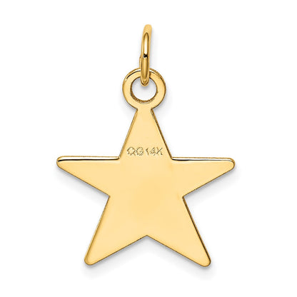 14k Yellow Gold Star Disc Charm