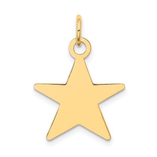 14k Yellow Gold Star Disc Charm