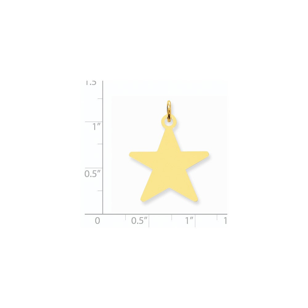 14k Yellow Gold Star Disc Charm