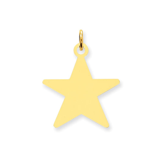 14k Yellow Gold Star Disc Charm