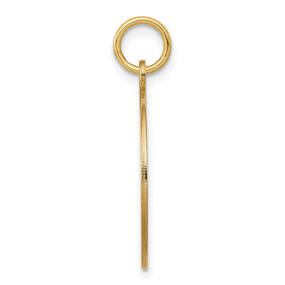 14k Yellow Gold w/Enamel .027 Gauge Circular Engravable Disc Charm