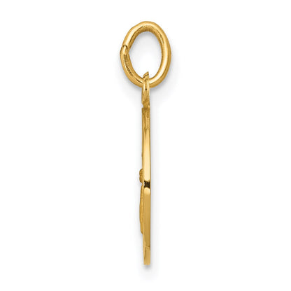 14k Yellow Gold Guardian Angel Medal Charm