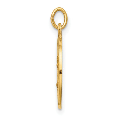 14k Yellow Gold Saint Mark Medal Charm