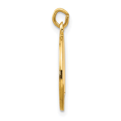 14k Yellow Gold Saint Luke Medal Charm