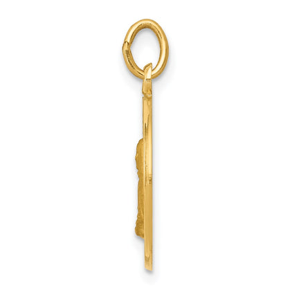 14k Yellow Gold Mother Cabrini Medal Charm