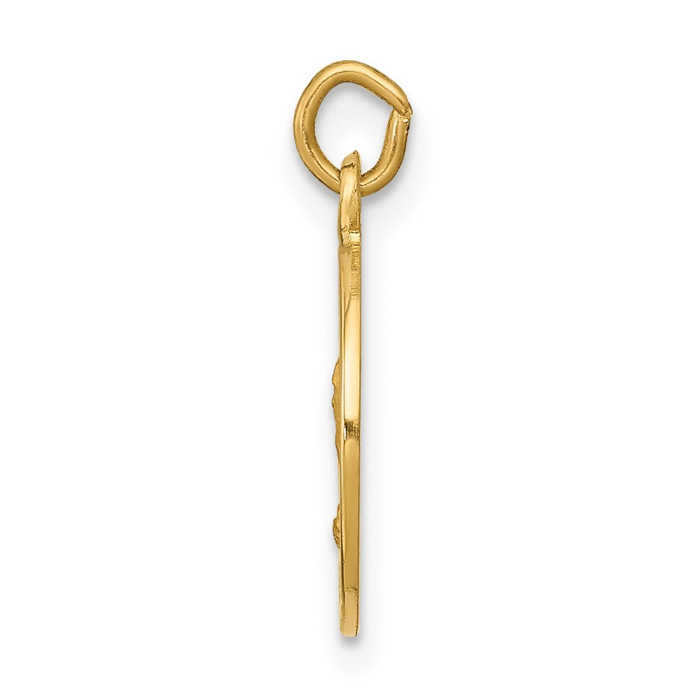 14k Yellow Gold Saint Andrew Medal Charm
