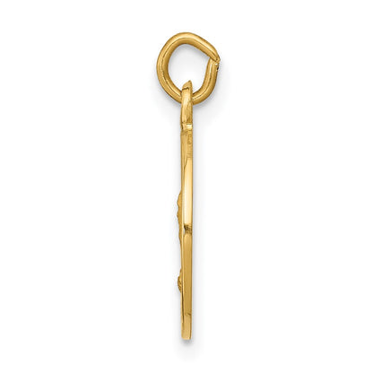 14k Yellow Gold Saint Andrew Medal Charm